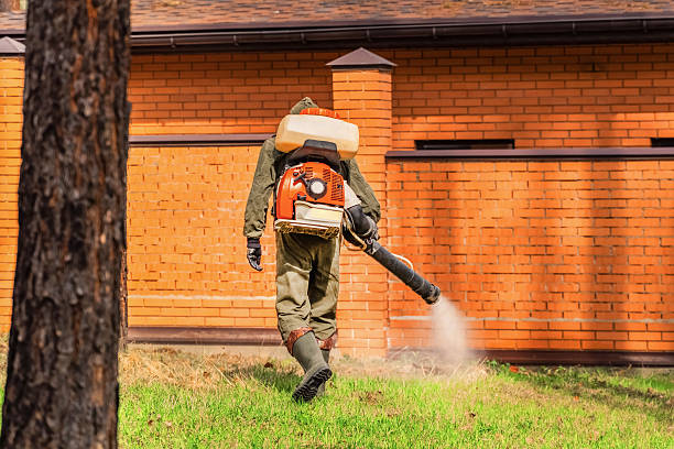 Trusted Cockroach Control service in Avon Lake, OH - Nex Pest Control